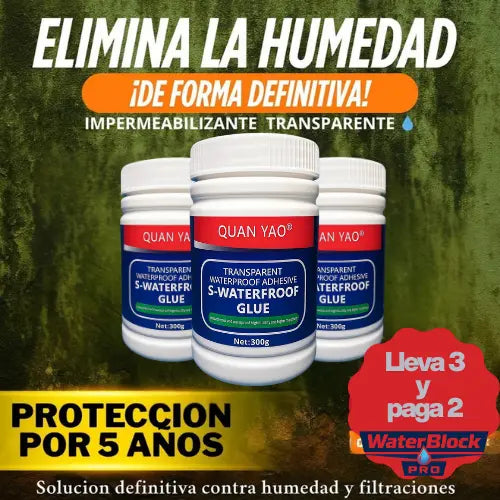 WaterBlock Pro - Sellador Impermeabilizante 300gr
